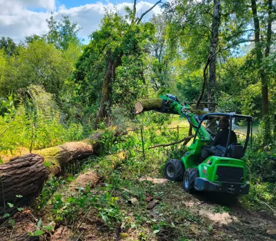 Stormschade bomen